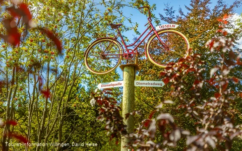 wegweiser-fahrrad-diemelquelle c) david-heise-tourist-information-willingen.jpg