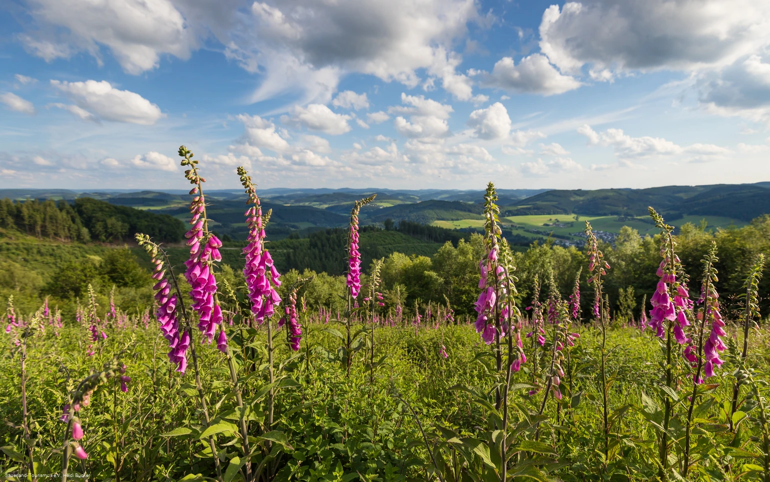 Markshöhe bei Wenholthausen