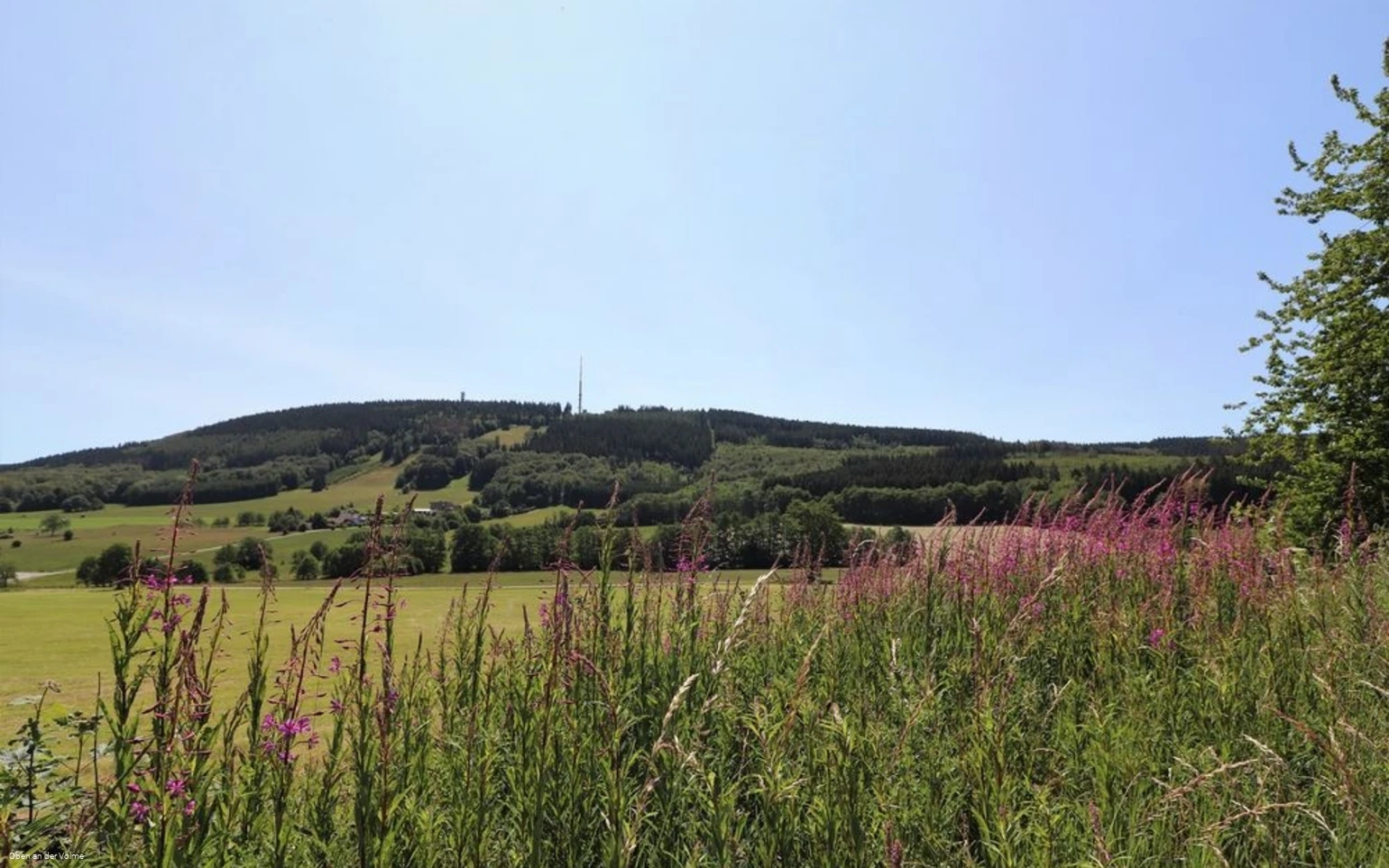 Blick auf die Nordhelle aus Richtung Reblin (Hersc