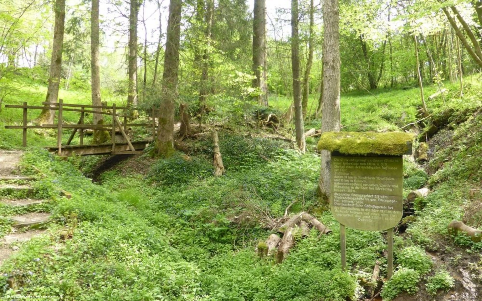 Die Orkequelle in Küstelberg