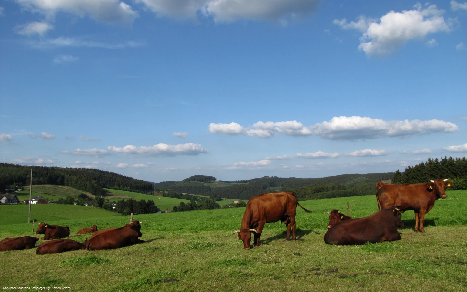 Blick auf Faulebutter