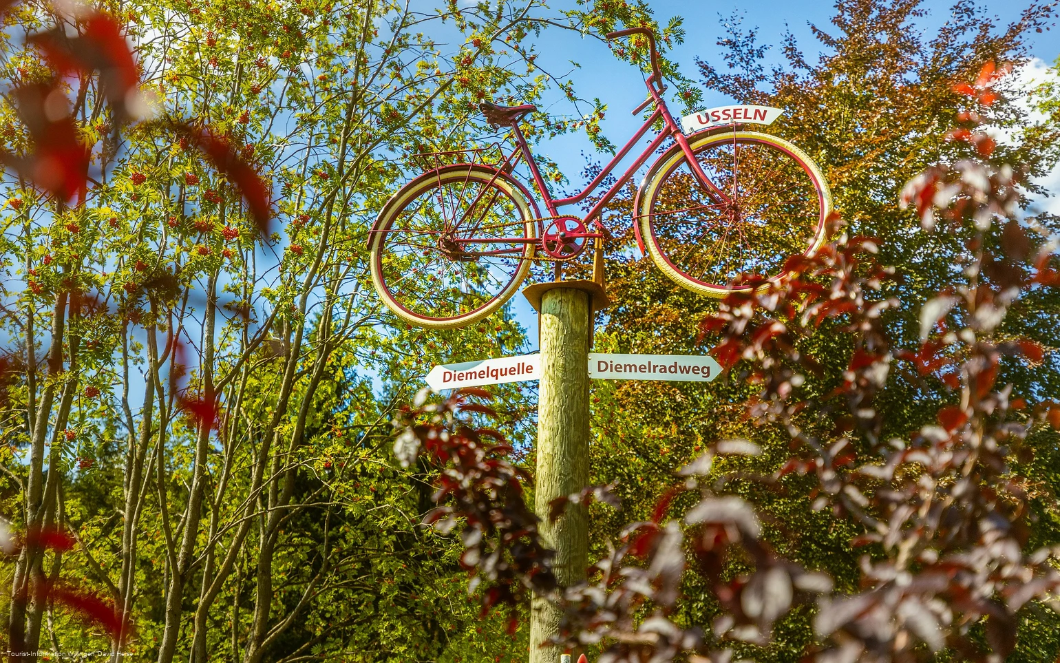 wegweiser-fahrrad-diemelquelle c) david-heise-tourist-information-willingen.jpg