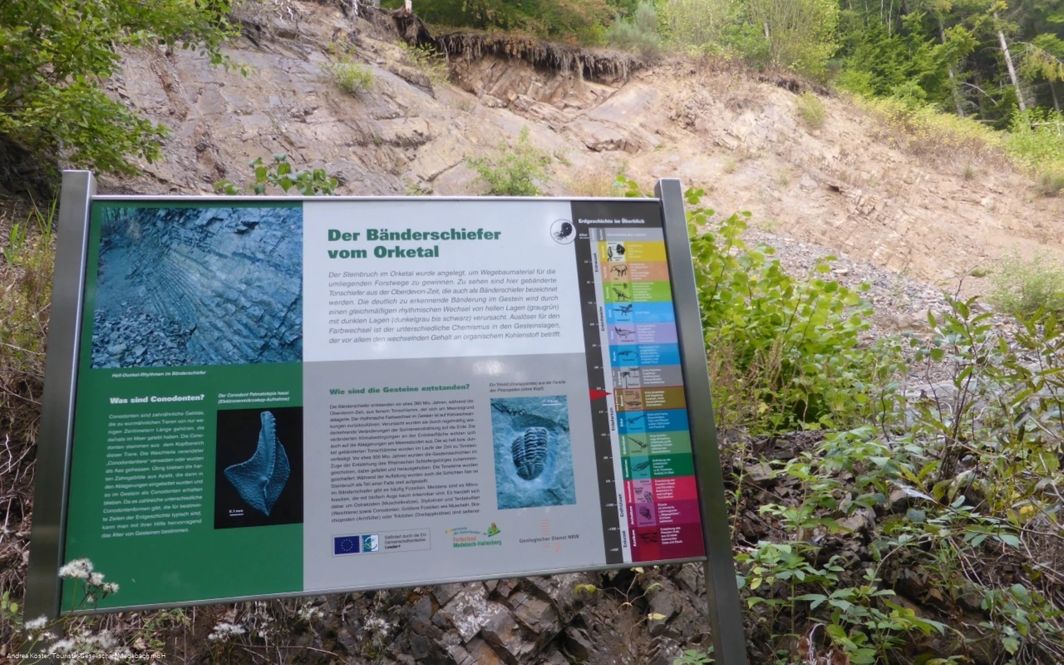 Geologischer Aufschluss - Steinbruch Orketal