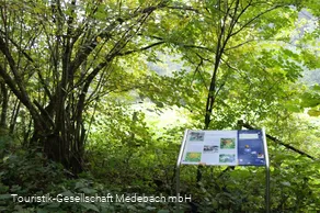 Infotafel 8 am Gewässerpfad Orke