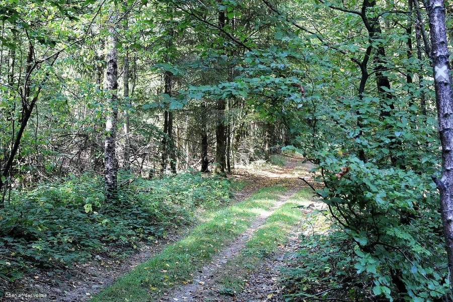 Deutlich ist historische Straße noch zu erkennen