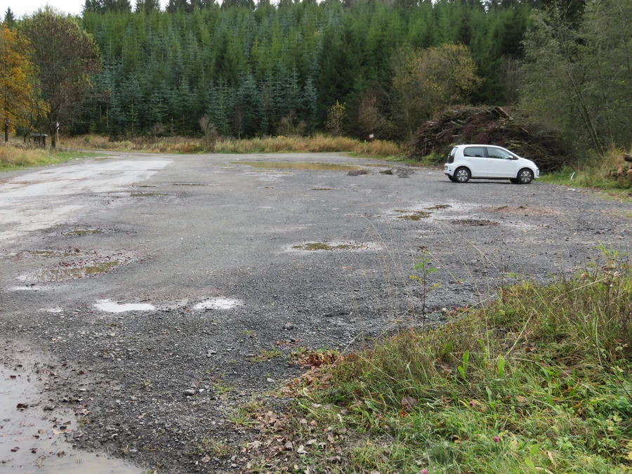Parkplatz mit einem weißen Auto umgeben von Wald.