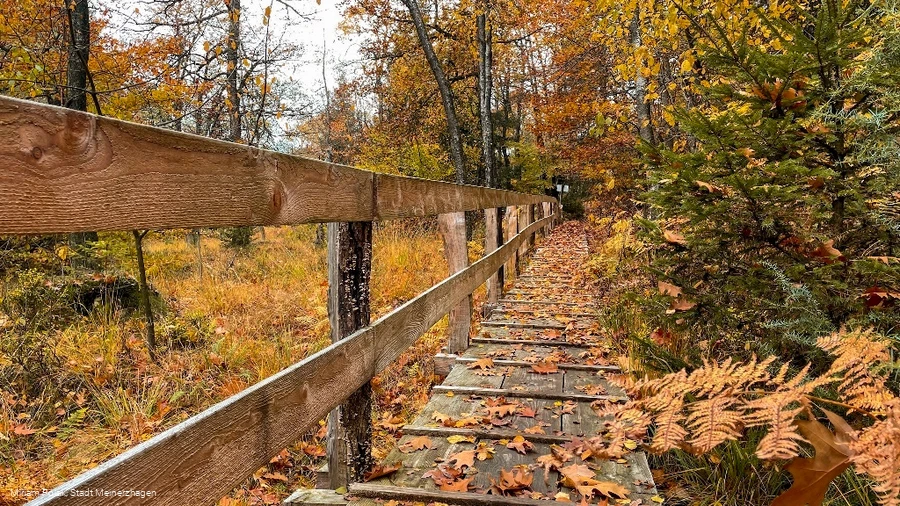 Knüppeldamm Ebbemoore