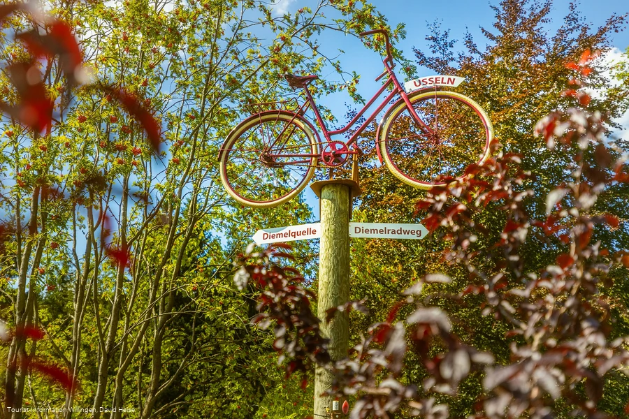 wegweiser-fahrrad-diemelquelle c) david-heise-tourist-information-willingen.jpg