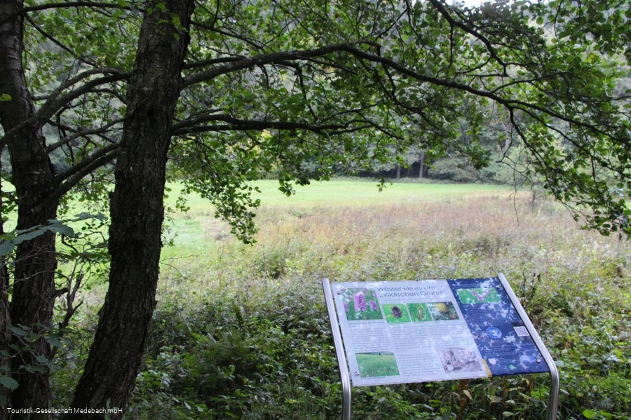 Infotafel 7 am Gewässerpfad Orke