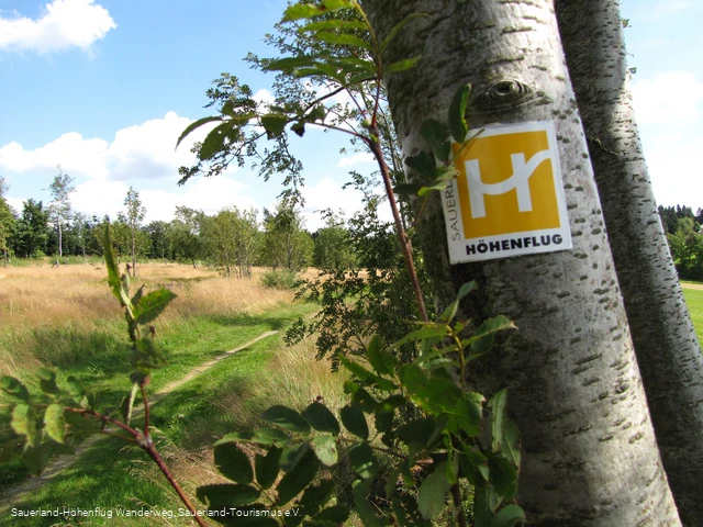 Wiesenweg bei Altastenberg