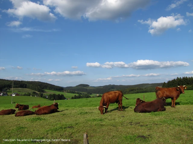 Blick auf Faulebutter