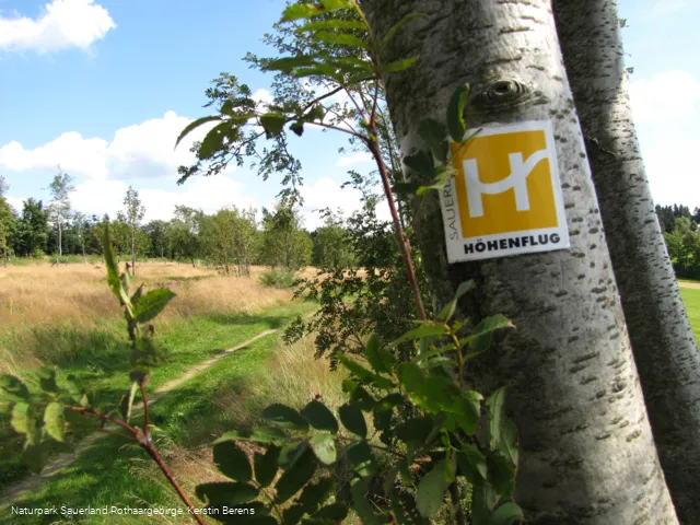 Wegezeichen Sauerland-Höhenflug bei Altastenberg