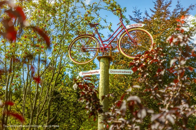 wegweiser-fahrrad-diemelquelle c) david-heise-tourist-information-willingen.jpg