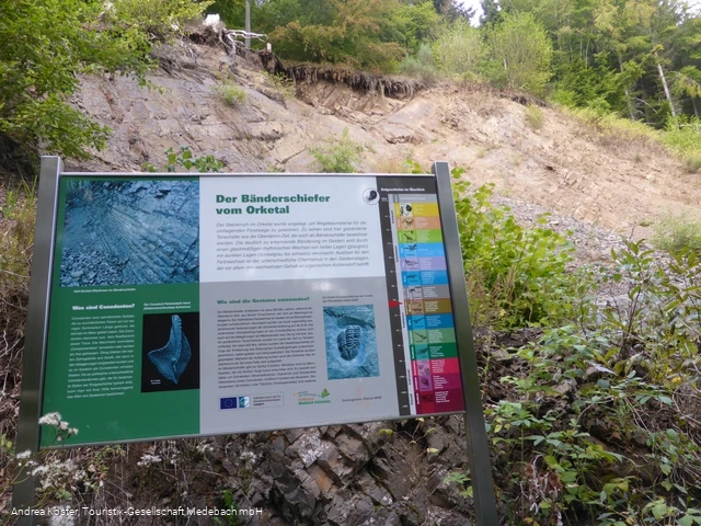 Geologischer Aufschluss - Steinbruch Orketal
