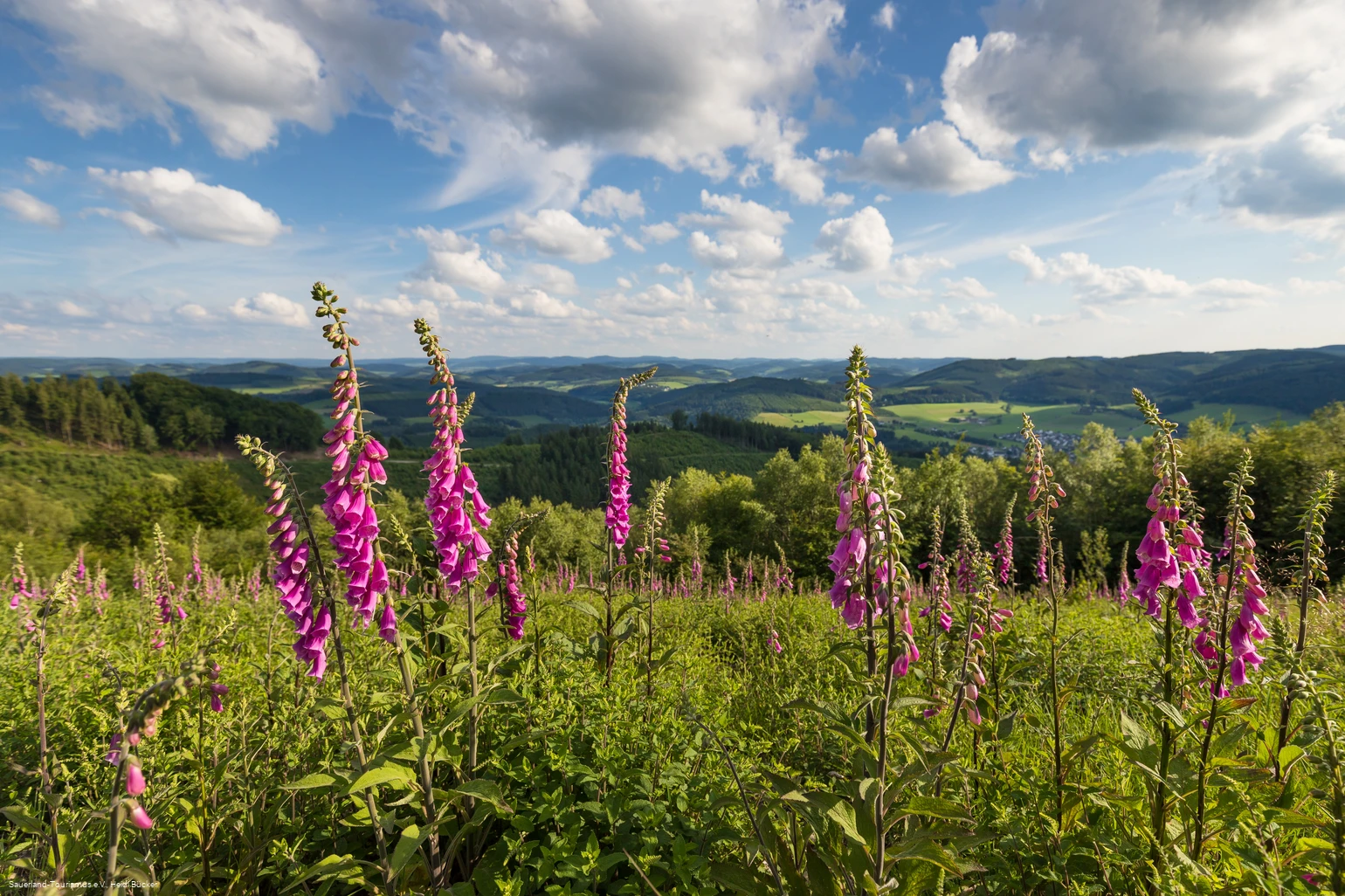 Markshöhe bei Wenholthausen