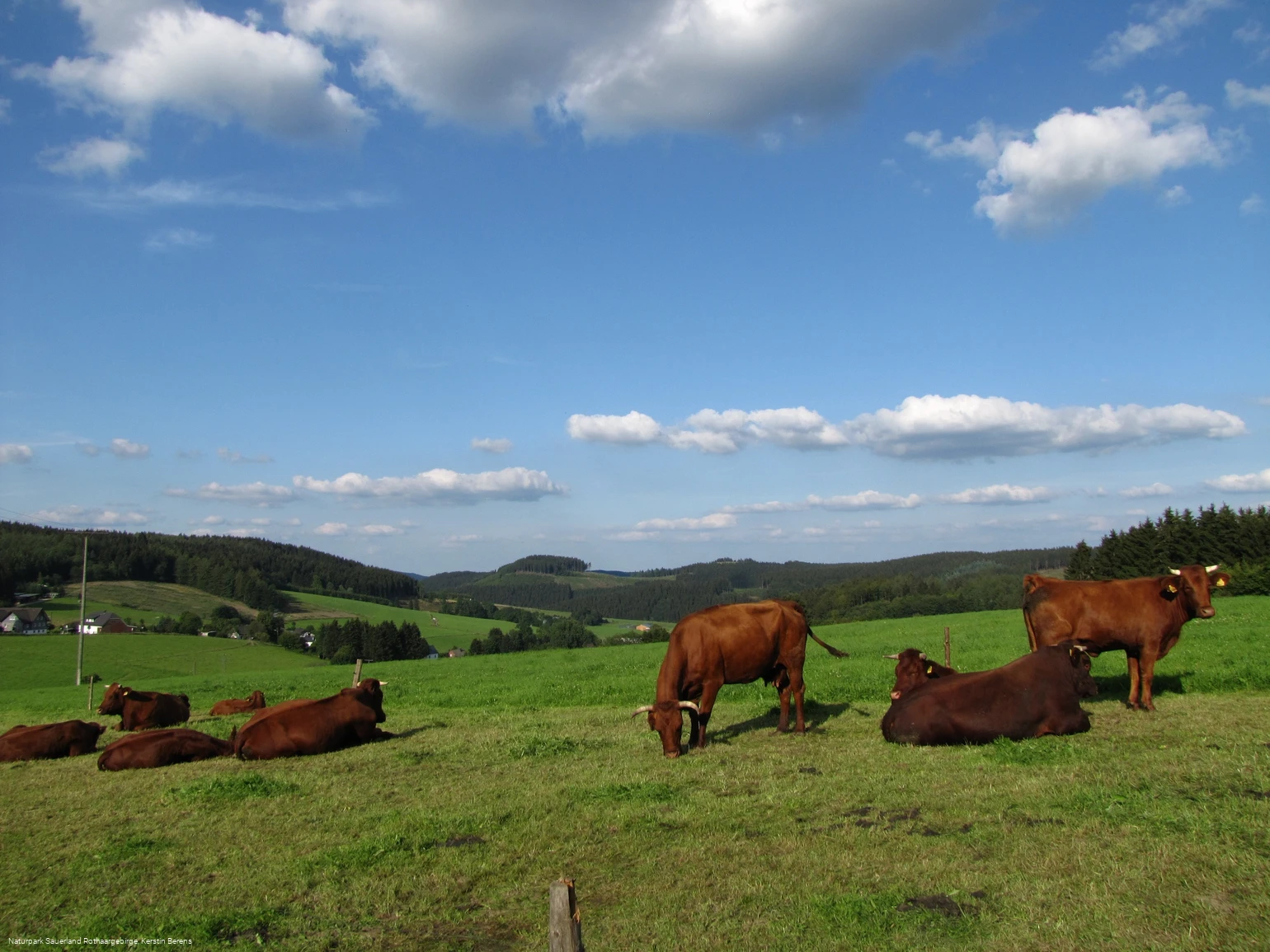 Blick auf Faulebutter
