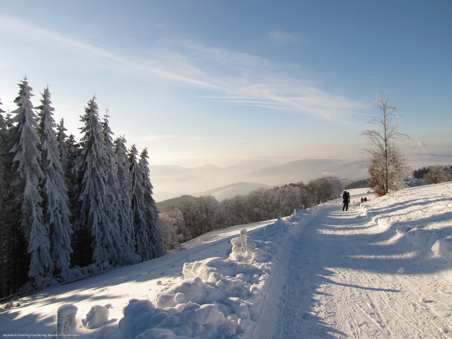 Ausblick von Wildewiese