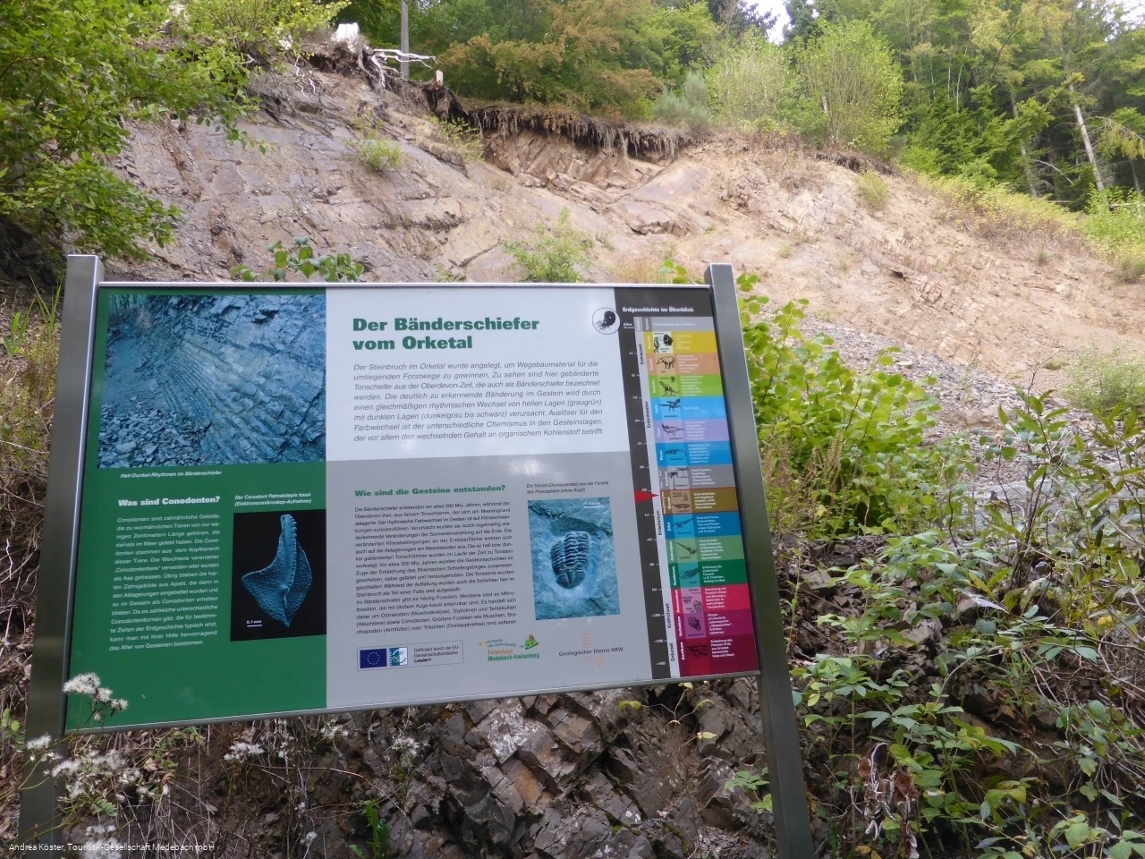 Geologischer Aufschluss - Steinbruch Orketal Geologischer Aufschluss - Steinbruch Orketal