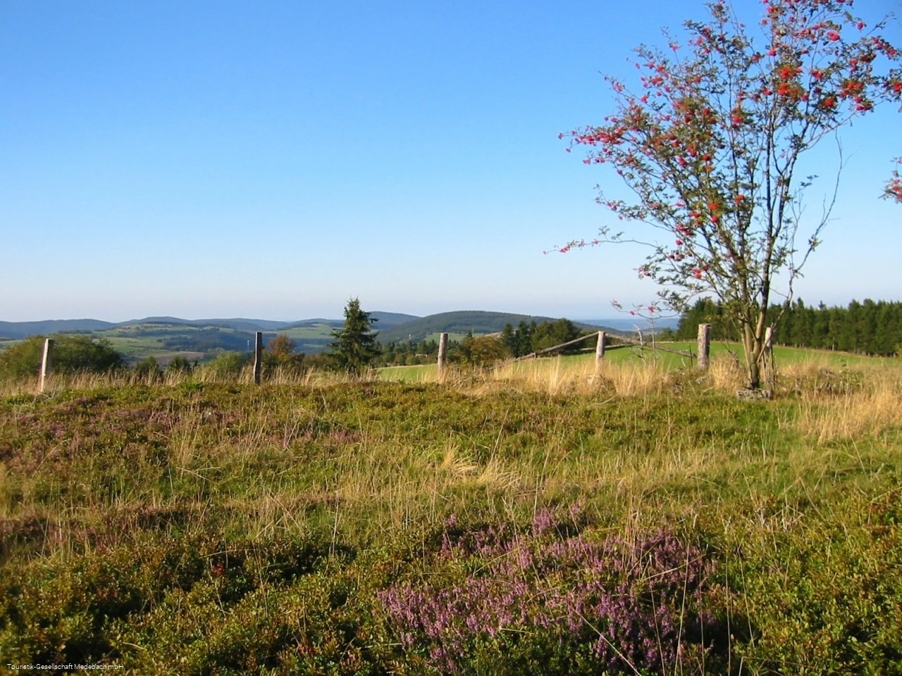 Kahler Pön Kahler Pön