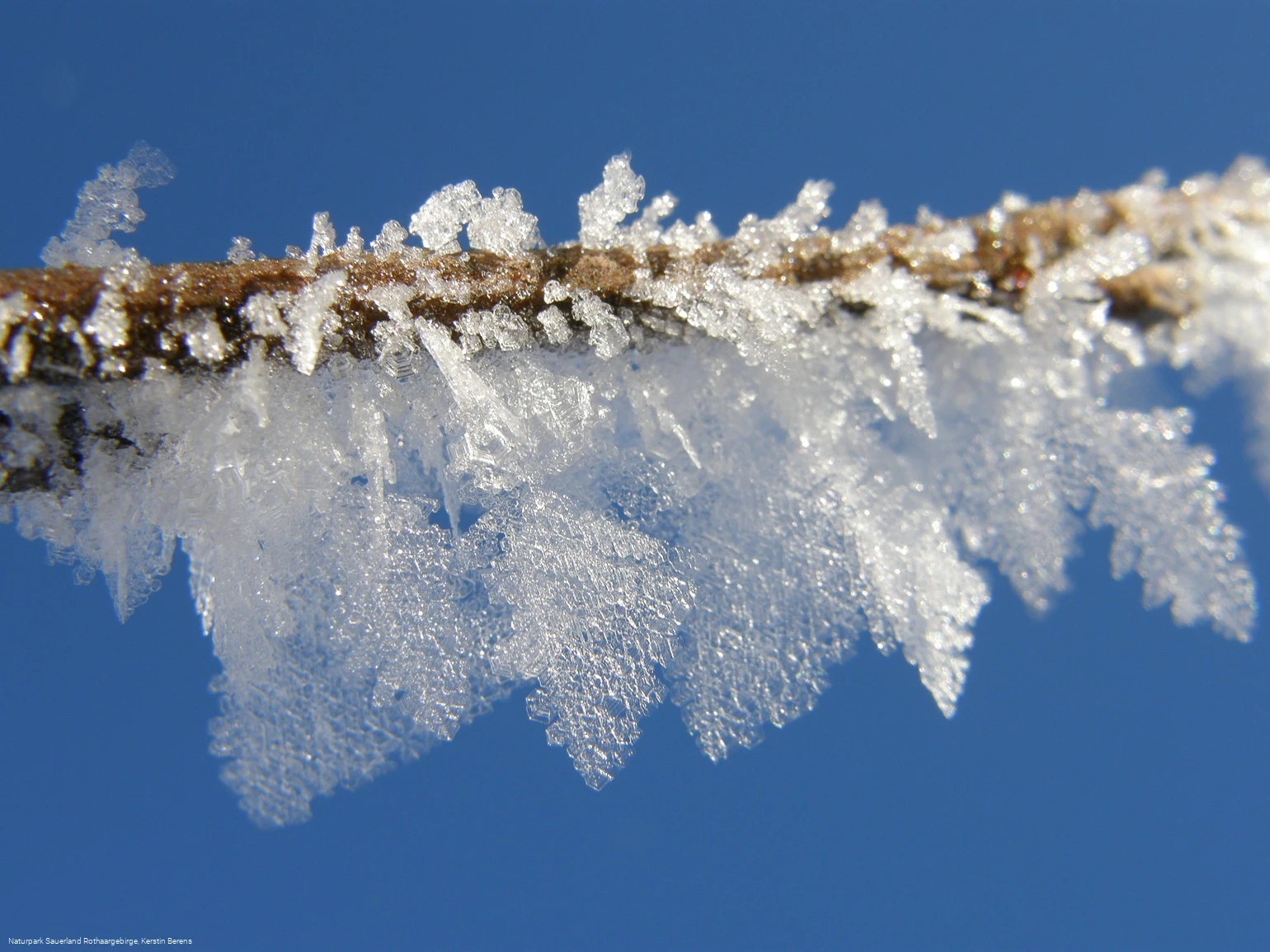 Eiskristalle