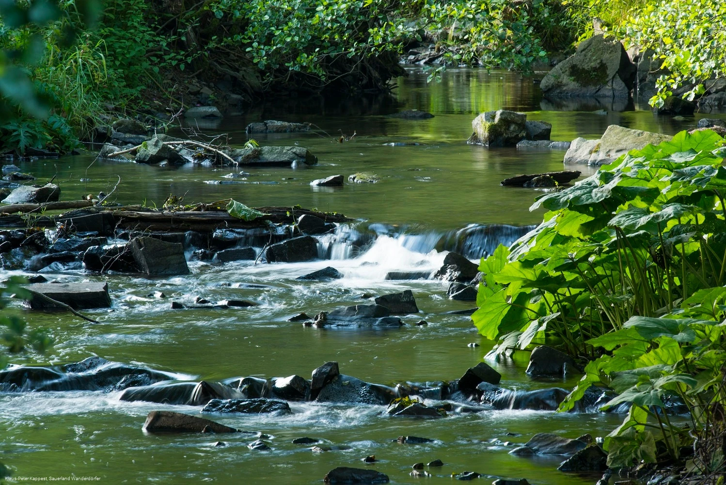 Die Orke bei Medebach-Medelon