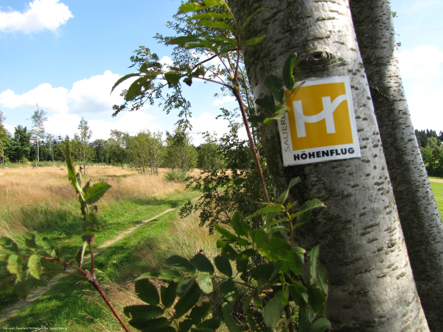 Wegezeichen Sauerland-Höhenflug bei Altastenberg