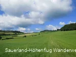 Wiesenweg am Ödenberg