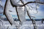 Eiszapfen