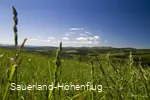 Ausblick über eine Blumenwiese Kahle Pön