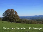 Aussicht bei Windhausen im Herbst