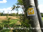 Wiesenweg bei Altastenberg