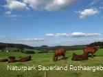 Blick auf Faulebutter