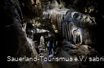 Dechenhöhle mit einer Säule aus Tropfsteinen
