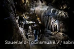 Dechenhöhle mit einer Säule aus Tropfsteinen
