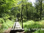 Wanderweg an der Nordhelle durch die Ebbemoore