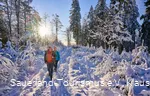 Zwei Wanderer unterwegs auf einem Winterspaziergang