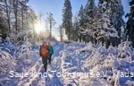 Zwei Wanderer unterwegs auf einem Winterspaziergang