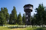 Ein Holzturm mit Dach inmitten von Tannen und einer Wiese.
