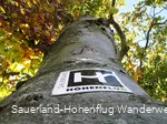 Zugangsweg bei Wildewiese
