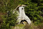 DSC08554.JPG