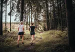 Trailrun 2022 HM.jpeg