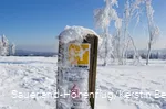Die Sauerland-Höhenflug Markierung am Kahlen Asten