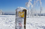 Die Sauerland-Höhenflug Markierung am Kahlen Asten