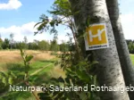 Wegezeichen Sauerland-Höhenflug bei Altastenberg