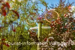 wegweiser-fahrrad-diemelquelle c) david-heise-tourist-information-willingen.jpg