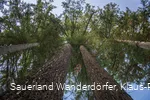 Sauerland Seelenort Himmelssäulen