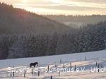 Sonnenuntergang