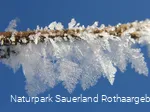 Eiskristalle