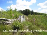 Wegemarkierung Sauerland-Höhenflug