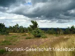 Hochheidelandschaft